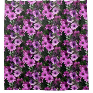 Purple African Daisy Flowers Nature Pattern  Shower Curtain