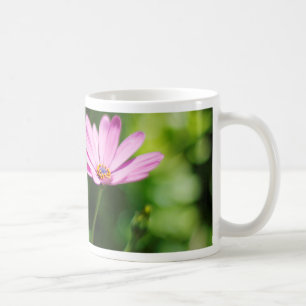 Purple African Daisy Photograph Coffee Mug