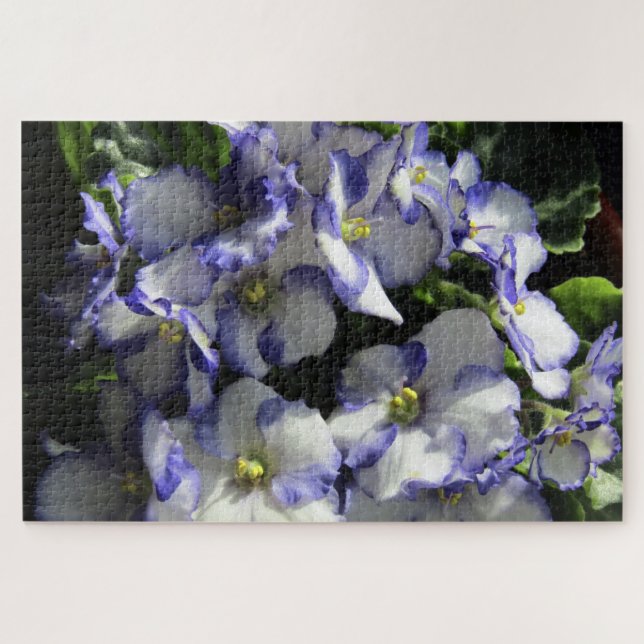 purple african violet flowers puzzle (Horizontal)