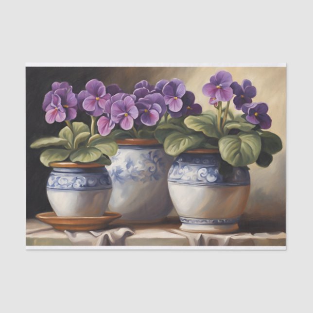 Purple African Violet Plants in the Pots  Tissue Paper (Front)