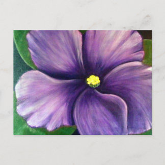 Purple African Violet Postcard
