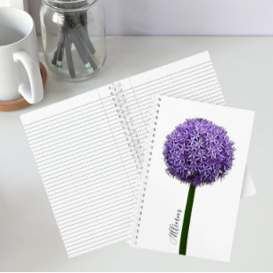 Purple Allium Bloom on White Background Notebook
