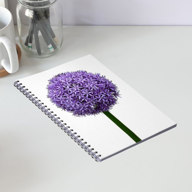 Purple Allium Bloom on White Background Notebook (In Situ)