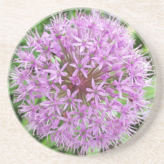 Purple Allium Coaster