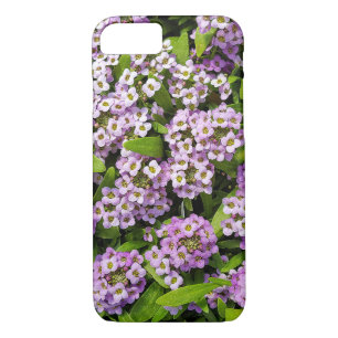 purple alyssum blossoms iPhone 8/7 case