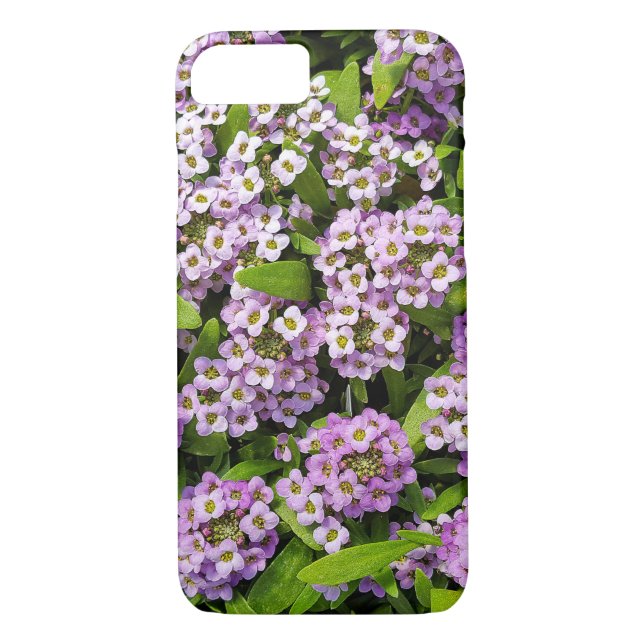 purple alyssum blossoms Case-Mate iPhone case (Back)