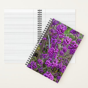 Purple American Beautyberry Botanical Notebook