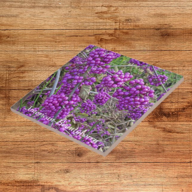 Purple American Beautyberry Botanical Tile (In Situ)