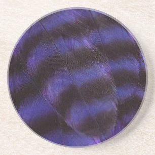 Purple and Black Feathers Coaster