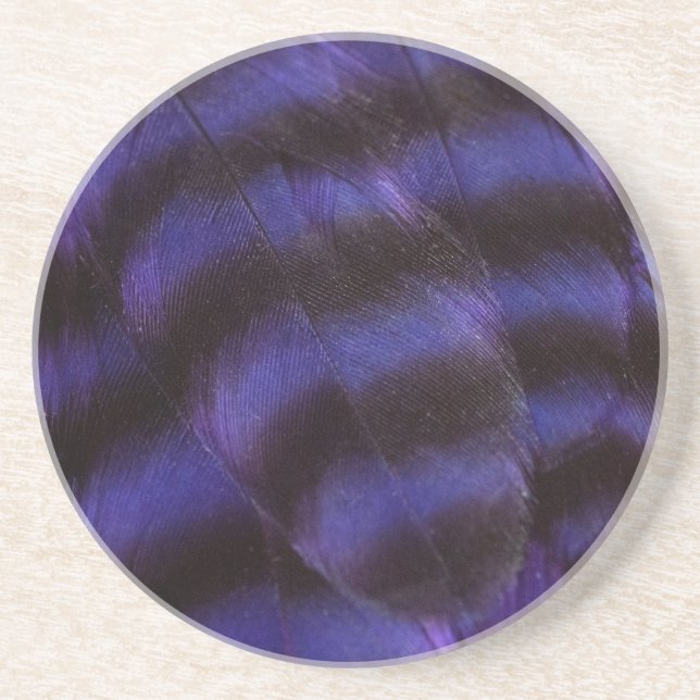 Purple and Black Feathers Coaster (Front)