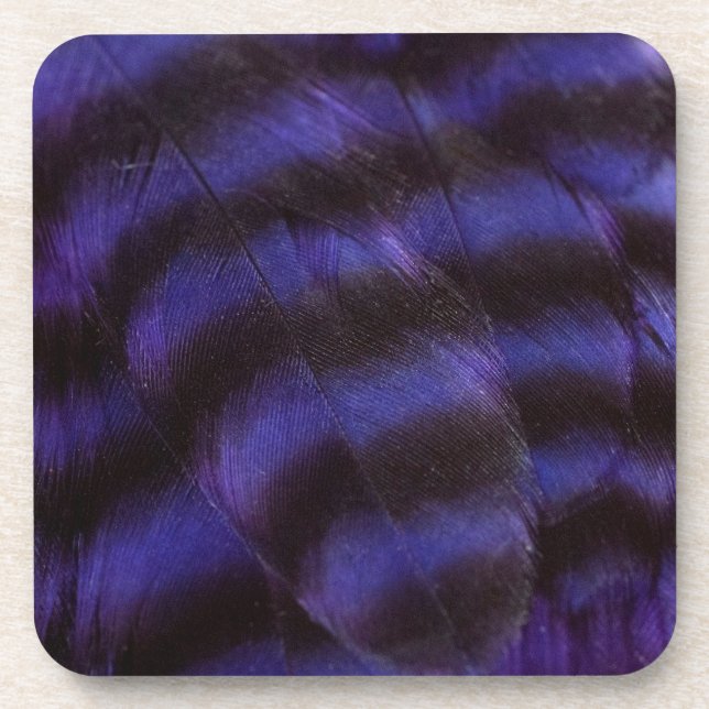 Purple and Black Feathers Coaster (Front)