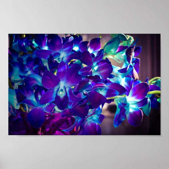 Purple and Blue Orchids Poster (Front)