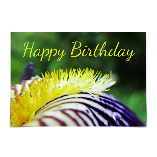 Purple and Gold Bearded Iris Birthday Card (Creator Uploaded)