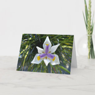 Purple and Gold Card