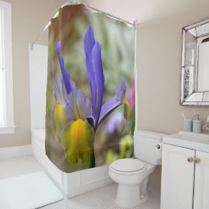 Purple And Gold Iris Shower Curtain