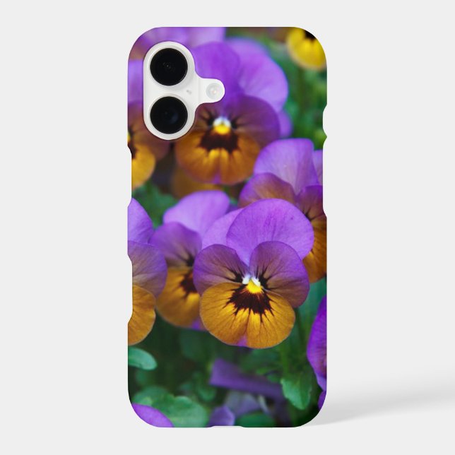 Purple and Gold Pansies (Back)