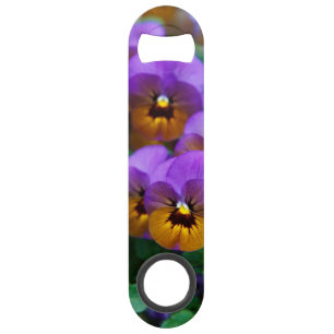 Purple and Gold Pansies Photo