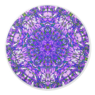 Purple and Green Abstract Ceramic Knob