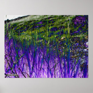 purple and green grass poster