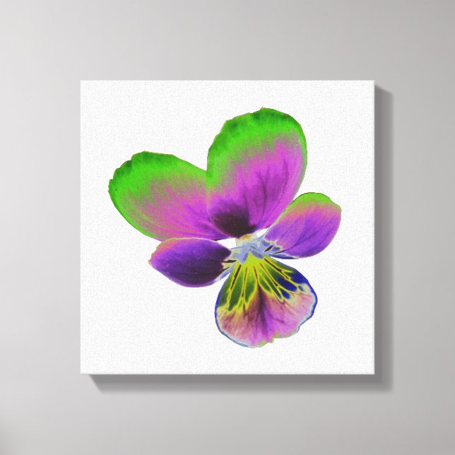 Purple and Green Pansy Canvas Print (Front)