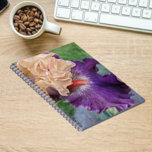 Purple and Peach Bearded Iris Bloom Floral Notebook