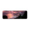 Purple and Pink Florida Sunset over Pine Trees