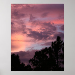 Purple and Pink Florida Sunset over Pine Trees Poster