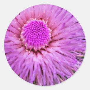 Purple and Pink Flower Classic Round Sticker