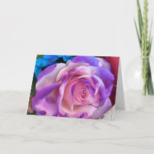 Purple and Pink Rose Blank Card