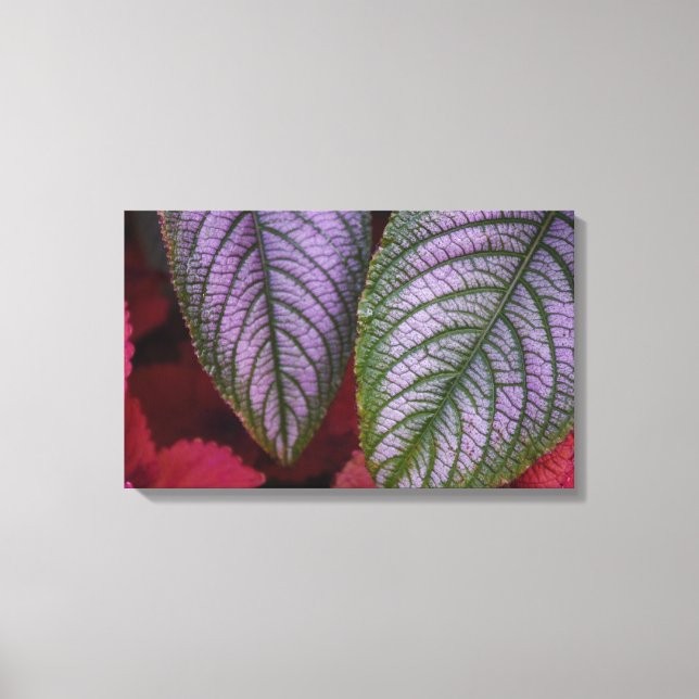 Purple and Red Leaved Canvas Print (Front)