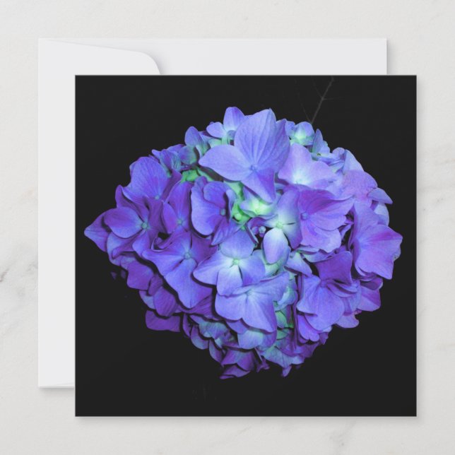 Purple and teal hydrangea, purple blue flowers  invitation (Front)