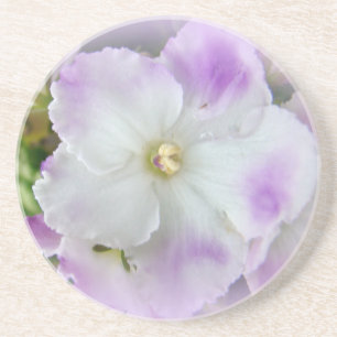 Purple and White Fancy African Violets Coaster