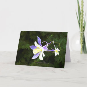 Purple and White Flower, Floral, Blank Inside Card