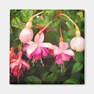 Purple and white flowers magnet