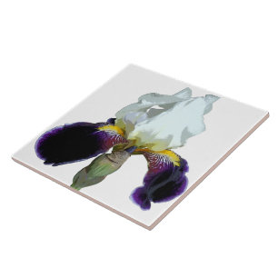 Purple and White Iris Ceramic Tile