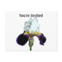 Purple and White Iris Invitation Postcard