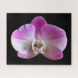 Purple and White Orchid Jigsaw Puzzle