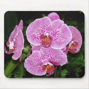 Purple and White Orchid Mouse Mat