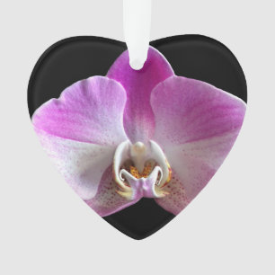 Purple and White Orchid Ornament