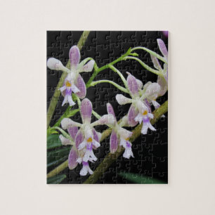 Purple and White Orchids Jigsaw Puzzle
