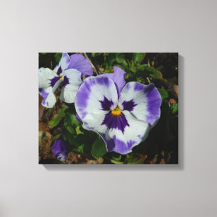 Purple and White Pansies Colourful Floral Canvas Print