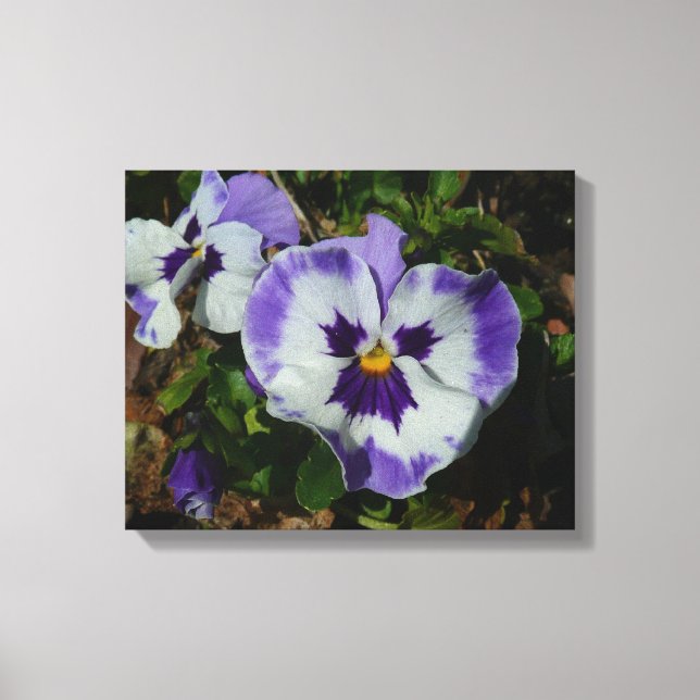 Purple and White Pansies Colourful Floral Canvas Print (Front)