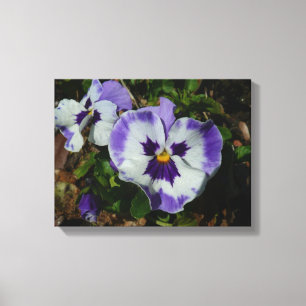 Purple and White Pansies Colourful Floral Canvas Print