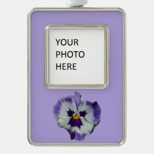 Purple and White Pansies Colourful Floral Silver Plated Framed Ornament
