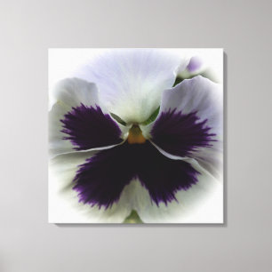 Purple and white pansy canvas print