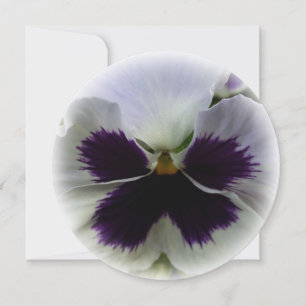 Purple and white pansy invitation