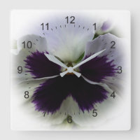 Purple and white pansy