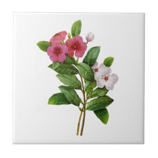 Purple and White Periwinkle by Redoute Tile