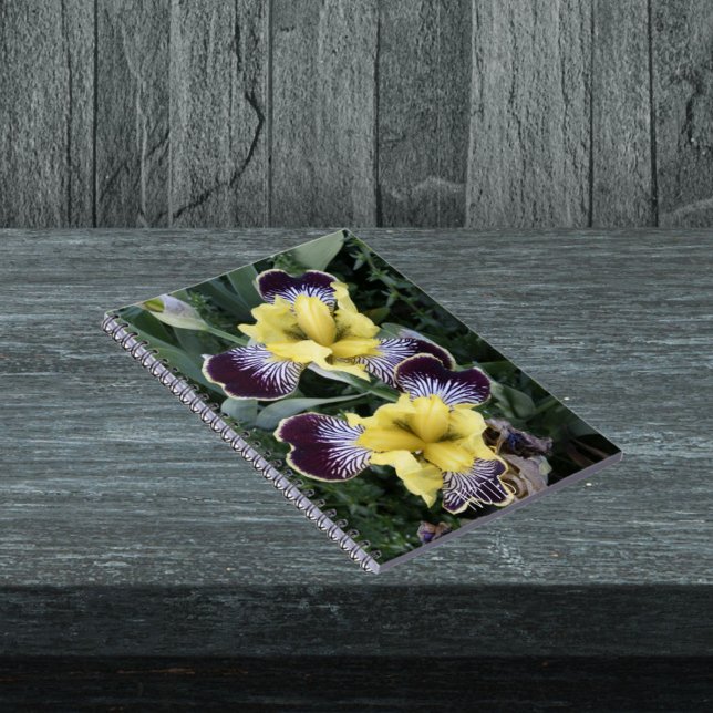 Purple and Yellow Beardless Irises Floral Notebook (In Situ)