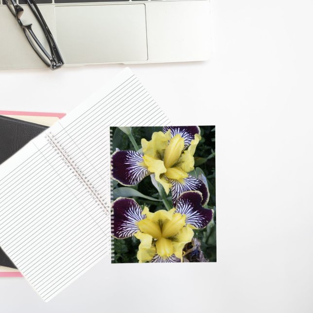 Purple and Yellow Beardless Irises Floral Notebook (In Situ)